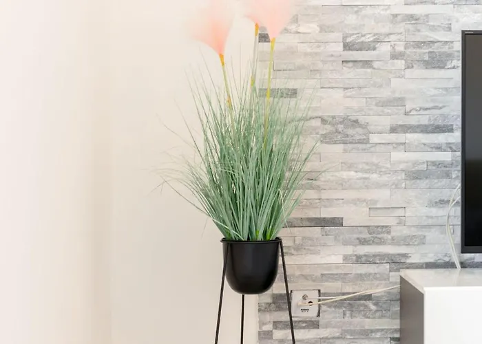 Apartmants Ujevic 特罗吉尔